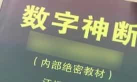 数字命理 数字神断（丁云浩）录音文件6集+资料插图