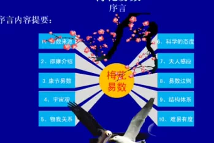 陈有道 梅花易数视频教学培训课程全21集插图