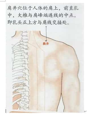 凤麟宗道医技法特训营插图